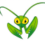 Icon Mantis