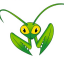 Icono Mantis