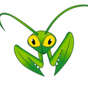 Hosting Mantis